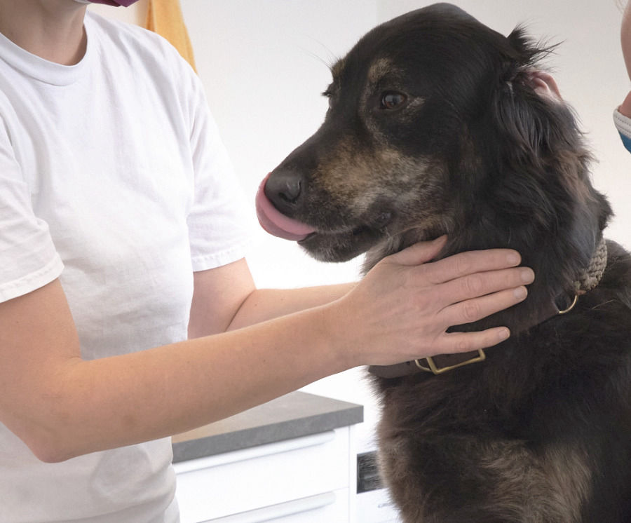 Physiotherapie in unserer Praxis